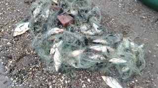 За две недели у саратовских рыбных браконьеров изъяли 30 плавсредств