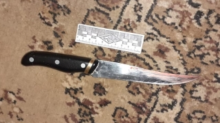 В Саратове женщина убила сожителя одним ударом ножа