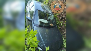 Женщина и подросток пострадали при съезде авто с дороги