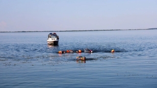 Спортсмены из Саратова и Беларуси проплыли 42 километра по Волге