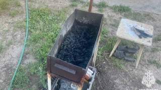 Немолодой саратовец обгорел при розжиге мангала