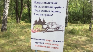МЧС: в 30 саратовских районах высокая вероятность возникновения природных пожаров