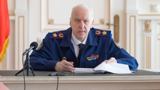 Нападение собаки в Саратове. Глава СК потребовал доклад об инциденте с участием ребенка