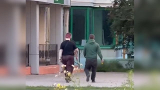 Энгельсские чиновники показали кадры с подозреваемыми в краже бычков