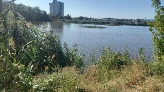 На окраине Саратова в пруду утонула женщина