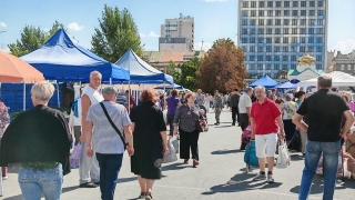 На Театральной площади пройдет первая осенняя продуктовая ярмарка