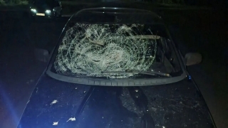 В воскресенье на саратовских дорогах сбили трех пешеходов
