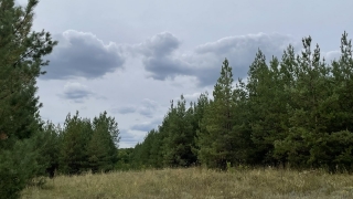 Синоптики обещают саратовцам небольшой воскресный дождь