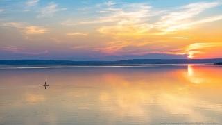 Фотография саратовца победила во всероссийском конкурсе