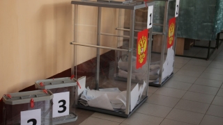 Выборы в ГД. За семь часов проголосовали почти 20% саратовских избирателей