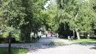 В воскресенье саратовцам обещают ясный и теплый день