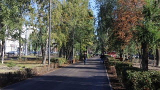 Саратовцам обещают по-настоящему летнюю среду