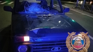 На саратовских дорогах под машины попали девочка и мужчина