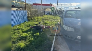 Саратовская полиция ищет свидетелей устроенного двумя подростками ДТП