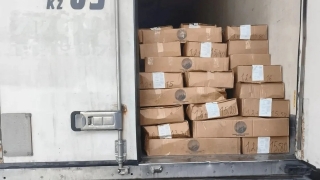 На госгранице в Саратовской области предотвращен ввоз 22 тонн воблы