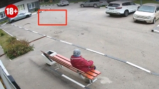 Размазал котят по асфальту. В Энгельсе на местного живодера завели уголовное дело