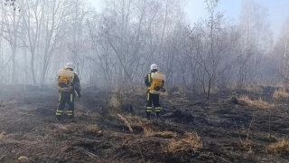 Саратовское минприроды: "Ситуация с пожаром под Лохом стабилизирована"