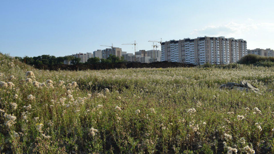 В Саратове продолжатся жаркие выходные