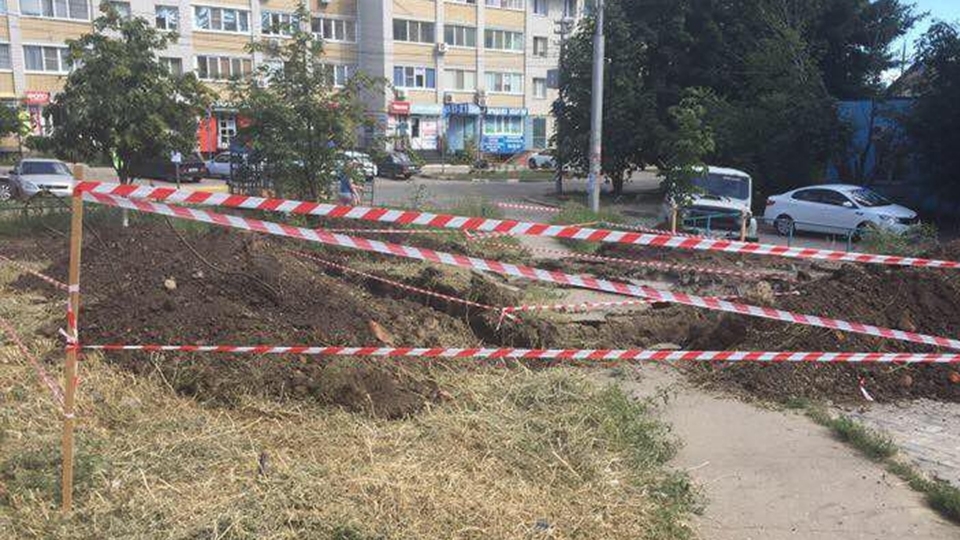Администрация обещает пересадить выкопанные в Юбилейном деревья