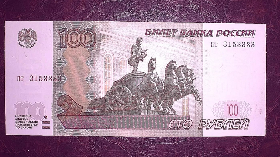 Мать заявила в полицию на пропившую ее 100 рублей дочь