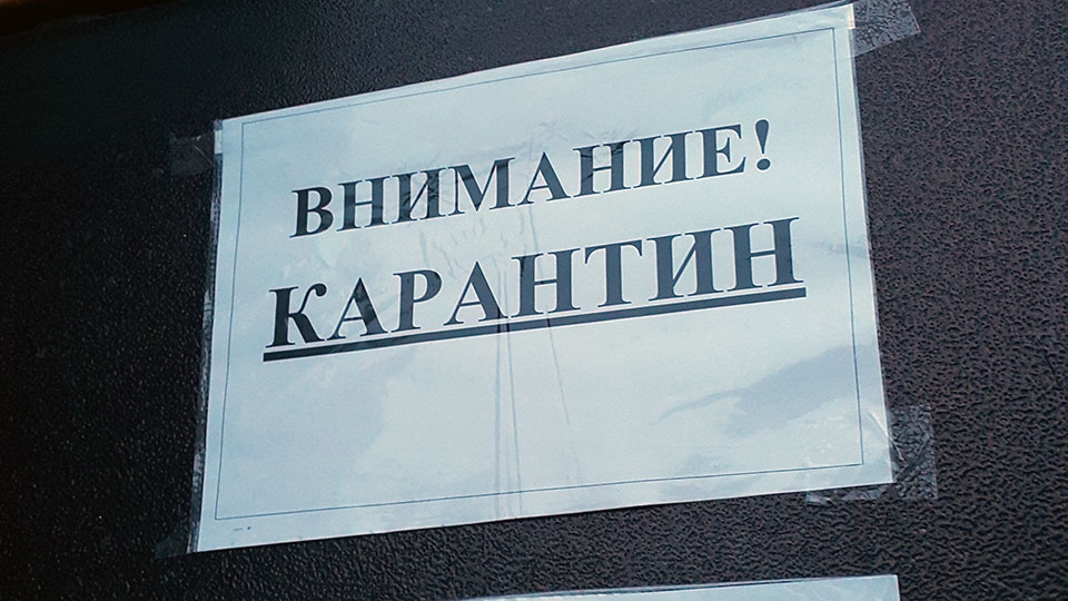 В энгельсских школах карантин по ОРВИ продлен до конца недели