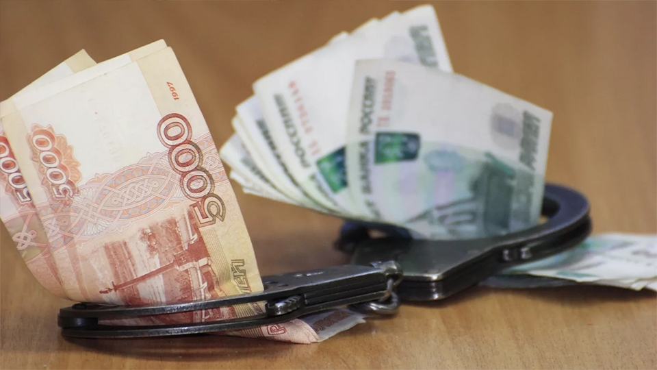 Мечтавшая "жить на селе" мошенница обманула государство на 1,5 млн рублей