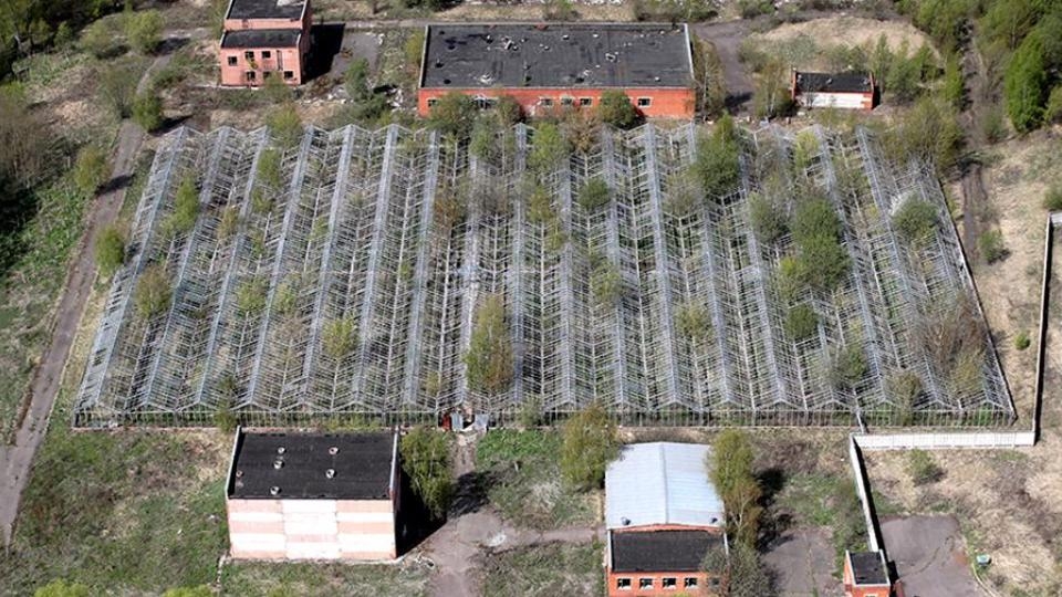 Минсельхоз заберет у бизнеса 4,8 млн гектаров неиспользуемых земель