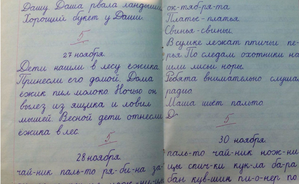 Сегодня отмечается Международный день грамотности