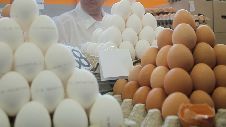 Продукты в России подорожают на 3,5%