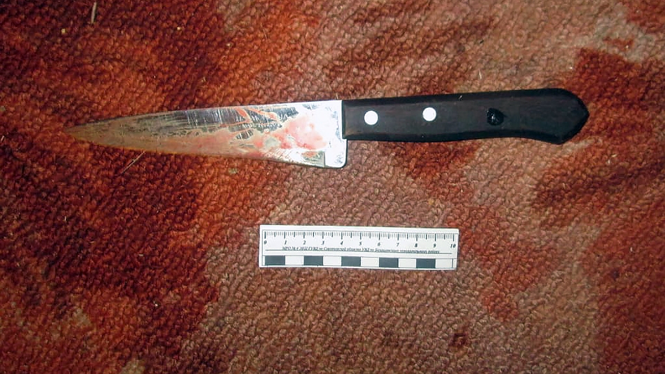 Житель Энгельса убил соседку ножом в сердце и получил 9,5 лет колонии