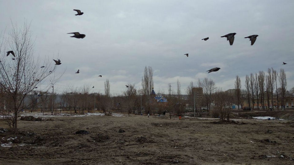 Воскресенье будет туманным и ветреным