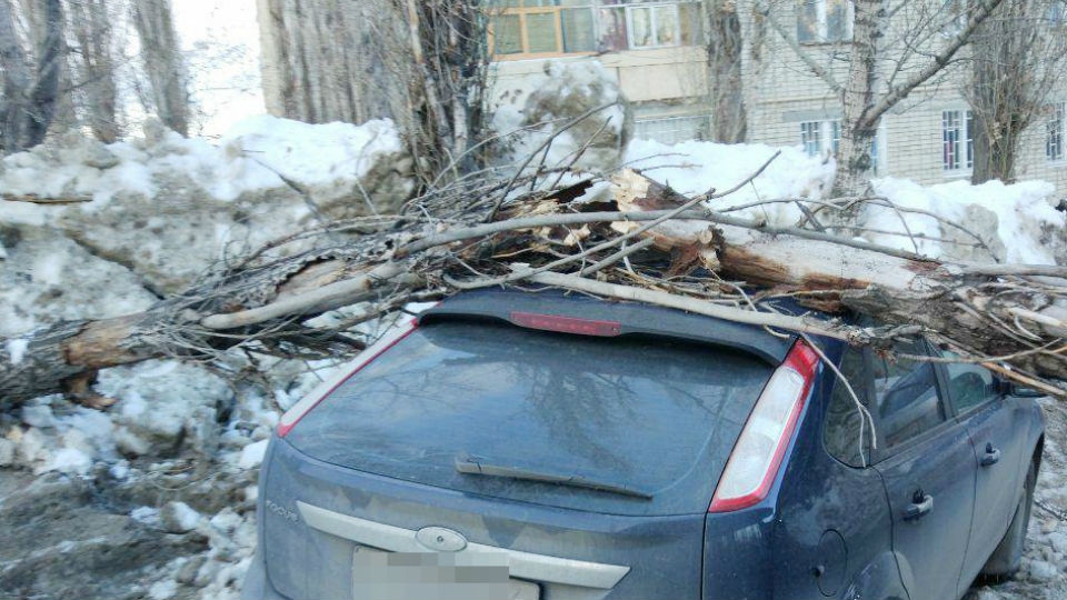 МЧС предупреждает саратовцев о порывах ветра до 20 метров в секунду
