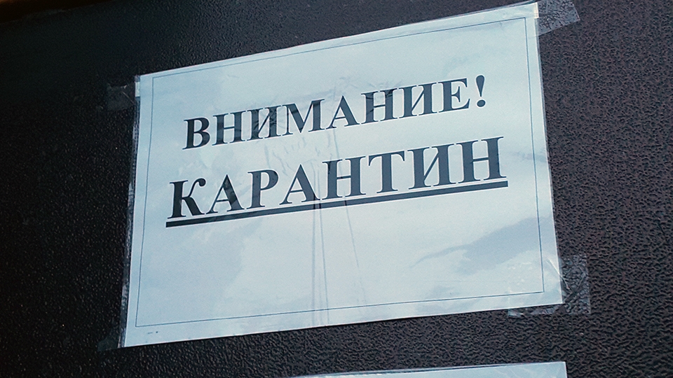 На карантин закрылись все школы Балаковского района