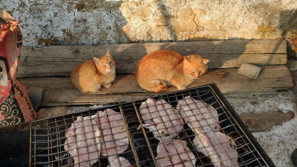 Саратовцев ждет морозное воскресенье без снега