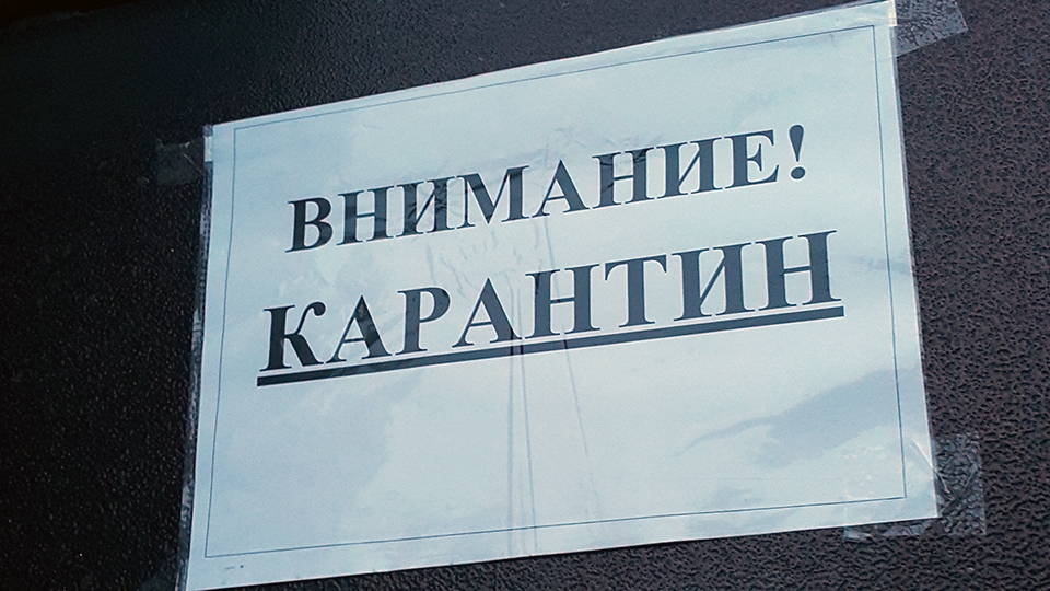 Энгельсским школьникам также продлили карантин