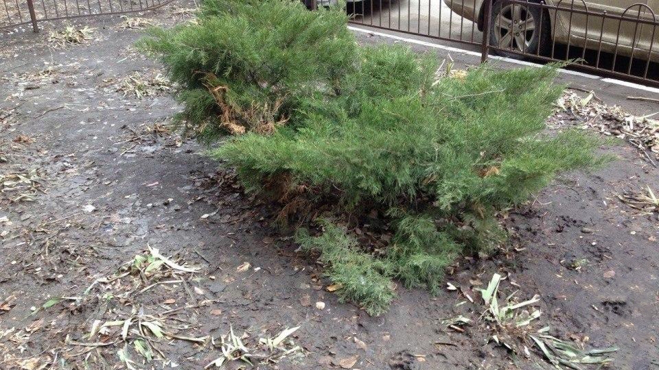 Михаил Болтухин: "Март тоже будет аномален"