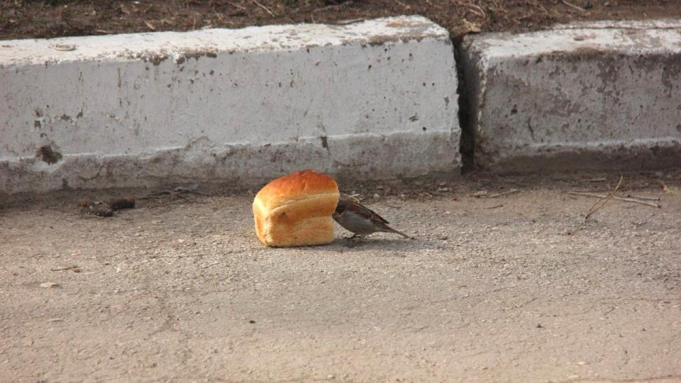 В Саратове будет тепло и сухо