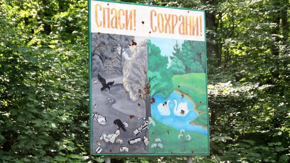 Сегодня отмечается Всемирный день экологических знаний