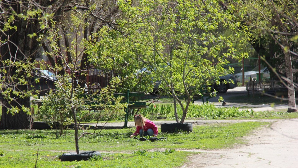 Саратовцев на Первомай ждет +22° и южный ветер