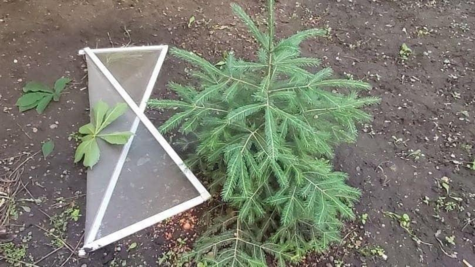 В Вольске из окна пятого этажа вместе с сеткой выпал 2-летний мальчик