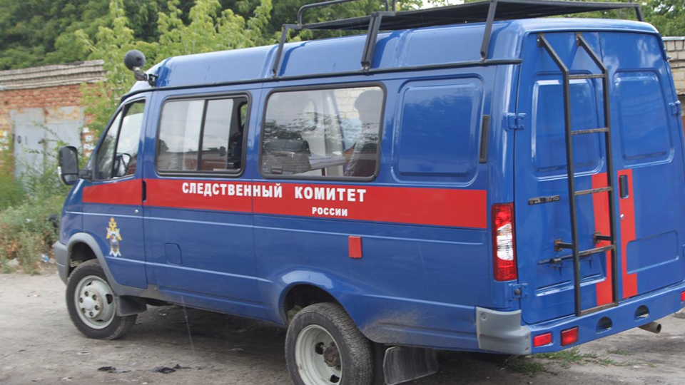 Женщина благодаря хитрости избежала изнасилования
