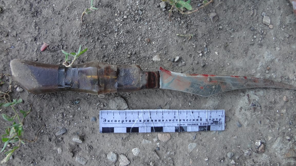 Оглушил лопатой и нанес 9 ударов ножом. Саратовец осужден на 11,5 лет за убийство