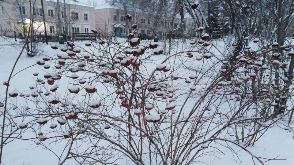 Синоптики обещают постепенное похолодание