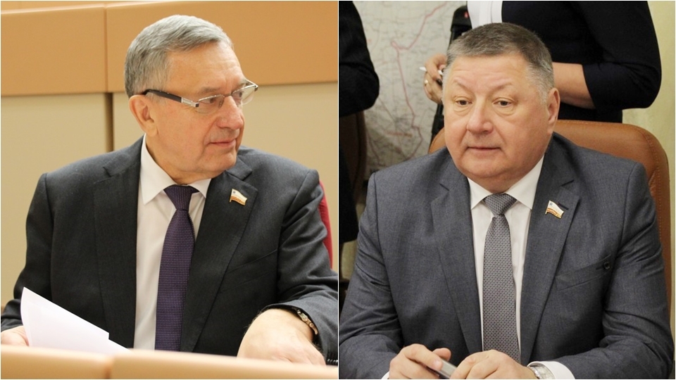 Это странное слово "площадка". Модный термин продолжает звучать в облдуме