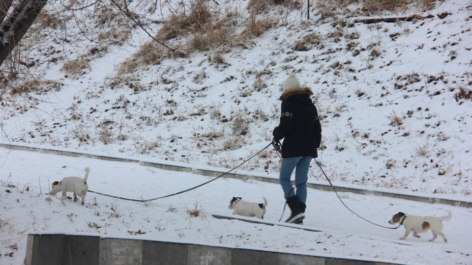 Саратовцев ждет снежное воскресенье
