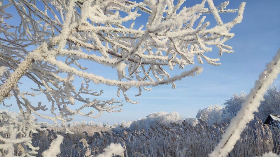 На этой неделе в Саратовской области похолодает до -30°