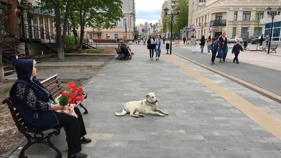 Майские каникулы завершатся облачной погодой