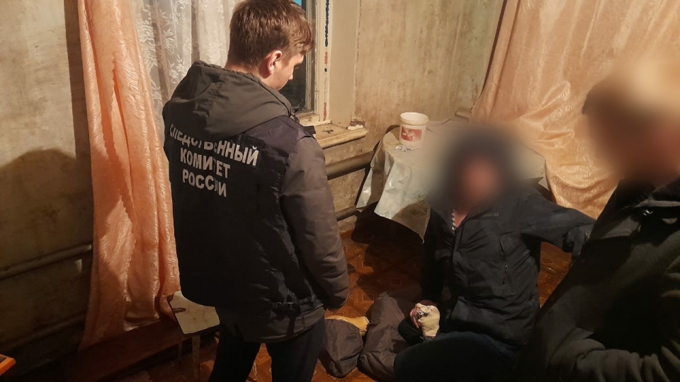 Забивший насмерть свою бабушку балаковец проведет 12 лет в колонии