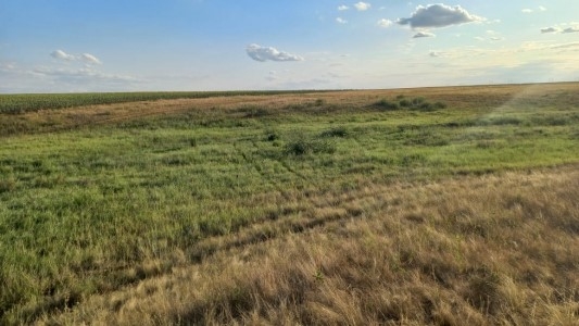 Саратовец 17 дней назад ушел на работу. Его труп нашли в поле