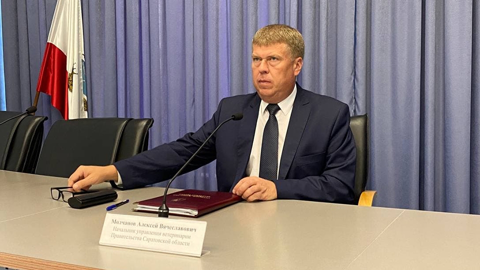 Алексей Молчанов о вспышках АЧС: "Население скрывает свинопоголовье"